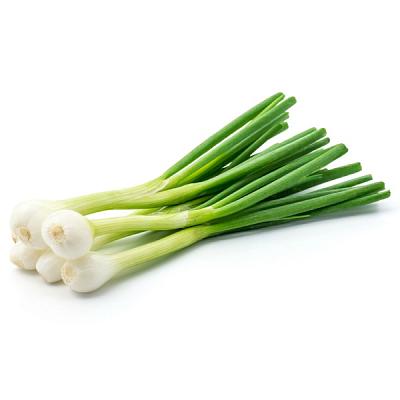 Лук зеленый с головкой в Apeti.ru Лук зеленый с головкой в интернет-магазине свежих фермерских продуктов Apeti.ru