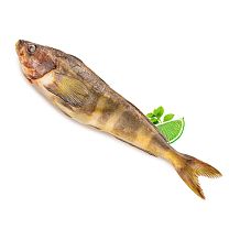 Терпуг Мурманск замороженный 06-0,8/ L 1 кг