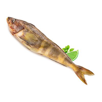 Терпуг Мурманск замороженный 06-0,8/ L 1 кг