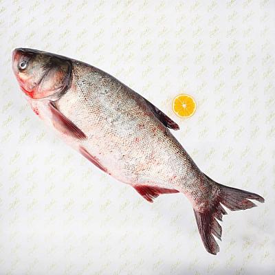  Толстолобик крупный охлажденный в интернет-магазине свежих фермерских продуктов Apeti.ru