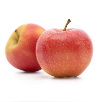  Яблоки бэби новый урожай в интернет-магазине свежих фермерских продуктов Apeti.ru