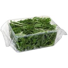 Руккола в лотке 150 г