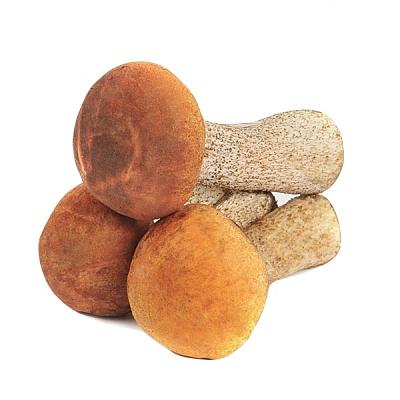  Грибы подосиновики в интернет-магазине свежих фермерских продуктов Apeti.ru