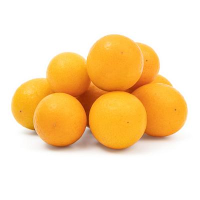 Кумкват свежий в Apeti.ru Кумкват свежий в интернет-магазине свежих фермерских продуктов Apeti.ru