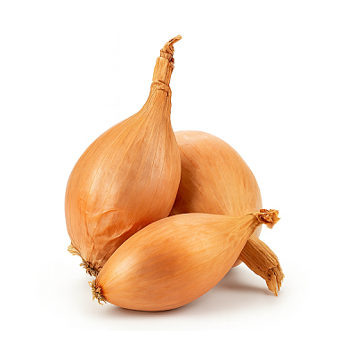  Лук шалот в интернет-магазине свежих фермерских продуктов Apeti.ru