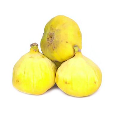 Инжир желтый