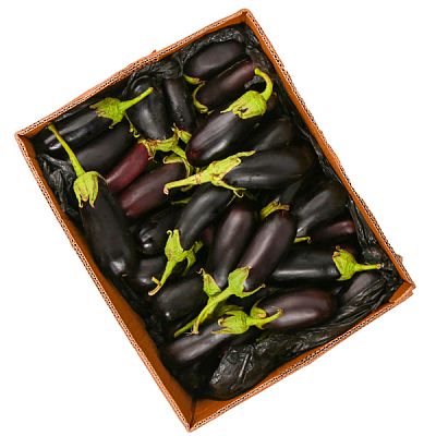 Баклажаны ОПТ