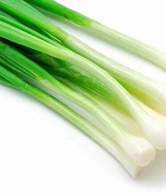 Лук зеленый Россия