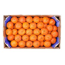 Мандарины ЮАР ОПТ