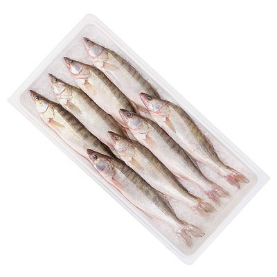 Судак азовский охлажденный крупный ОПТ