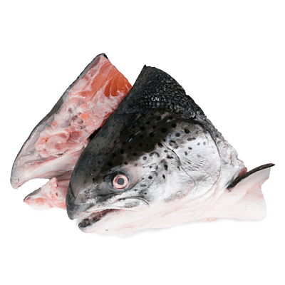 Голова форели крупной охлажденная в Apeti.ru Голова форели крупной охлажденная в интернет-магазине свежих фермерских продуктов Apeti.ru