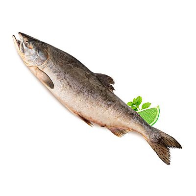 Горбуша сухой заморозки