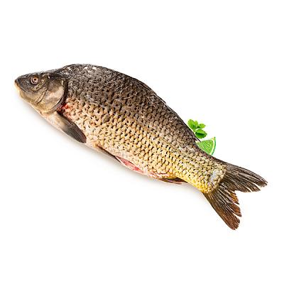  Карп очищенный охлажденный в интернет-магазине свежих фермерских продуктов Apeti.ru