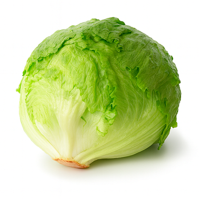  Салат айсберг 1 шт в интернет-магазине свежих фермерских продуктов Apeti.ru