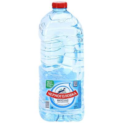  Вода Черноголовка негазированная артезианская 2,5 л в интернет-магазине свежих фермерских продуктов Apeti.ru
