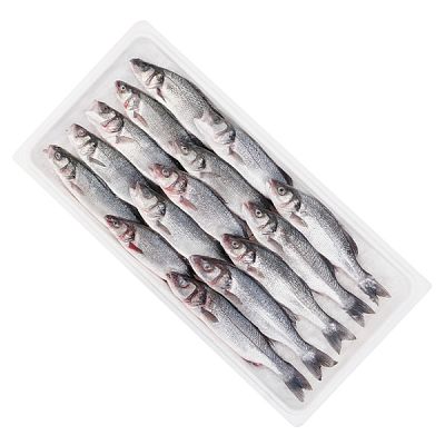 Сибас оптом охлажденный