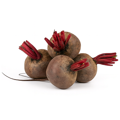  Свекла  в интернет-магазине свежих фермерских продуктов Apeti.ru