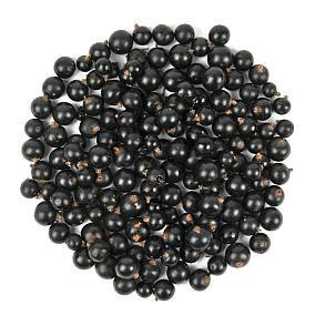 Смородина черная в Apeti.ru  Смородина черная в интернет-магазине свежих фермерских продуктов Apeti.ru