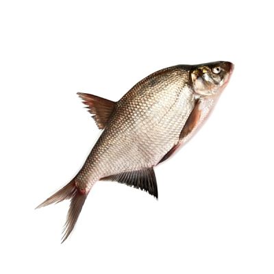 Лещ охлажденный 1 кг