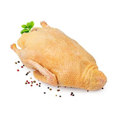  Индоутка замороженная в интернет-магазине свежих фермерских продуктов Apeti.ru