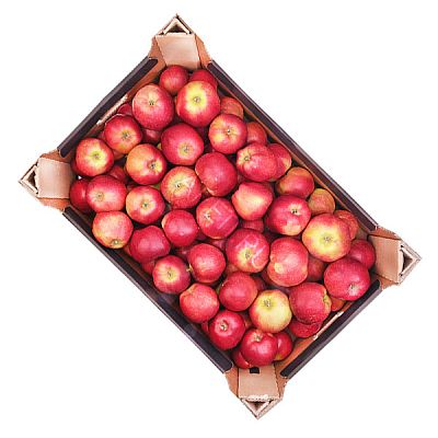 Яблоки спартан ОПТ