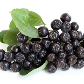  Рябина черная сезонная 700г в интернет-магазине свежих фермерских продуктов Apeti.ru