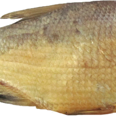 Лещ холодного копчения 1 кг в Apeti.ru Лещ холодного копчения 1 кг в интернет-магазине свежих фермерских продуктов Apeti.ru