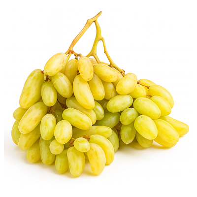 Виноград дамские пальчики в Apeti.ru Виноград дамские пальчики в интернет-магазине свежих фермерских продуктов Apeti.ru