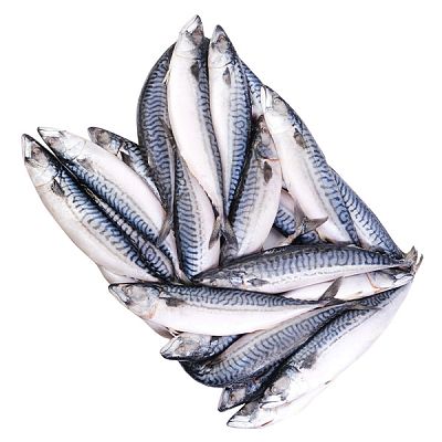 Скумбрия крупная мурманская замороженная 400/600 ОПТ