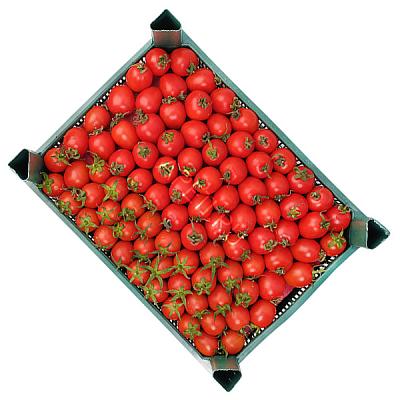 Томаты черри бакинские ОПТ в Apeti.ru Томаты черри бакинские ОПТ в интернет-магазине свежих фермерских продуктов Apeti.ru