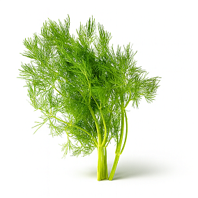  Укроп в интернет-магазине свежих фермерских продуктов Apeti.ru