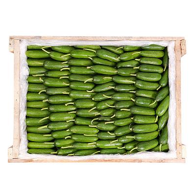 Огурцы бакинские ОПТ в Apeti.ru Огурцы бакинские ОПТ в интернет-магазине свежих фермерских продуктов Apeti.ru