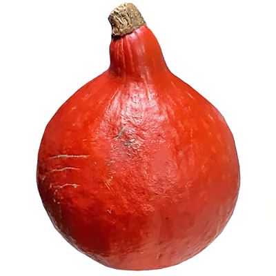 Тыква лесной орех