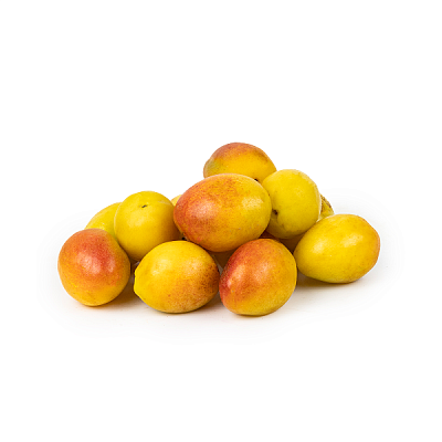 Урюк сладкий Узбекистан