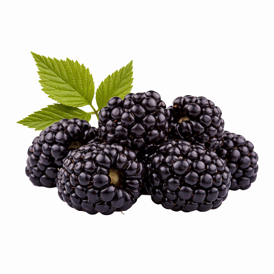 Ежевика (Крым)