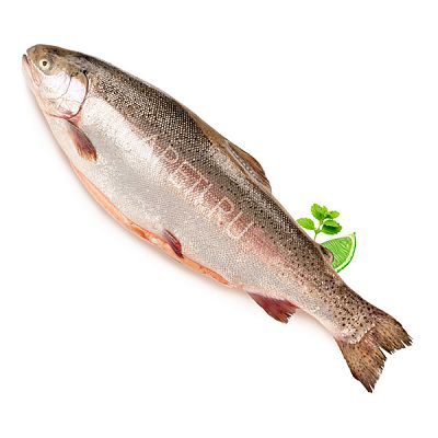 Форель карельская порционная охлажденная 200-300 г