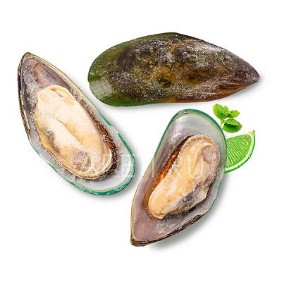  Мидии на створке замороженные 1 кг в интернет-магазине свежих фермерских продуктов Apeti.ru