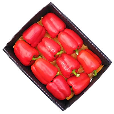 Перец болгарский красный ОПТ в интернет-магазине свежих фермерских продуктов Apeti.ru