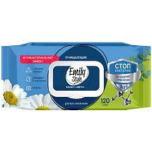 Салфетки влажные Emily Style антибактериальные 120 шт
