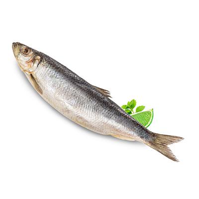  Сельдь атлантическая замороженная ОПТ в интернет-магазине свежих фермерских продуктов Apeti.ru