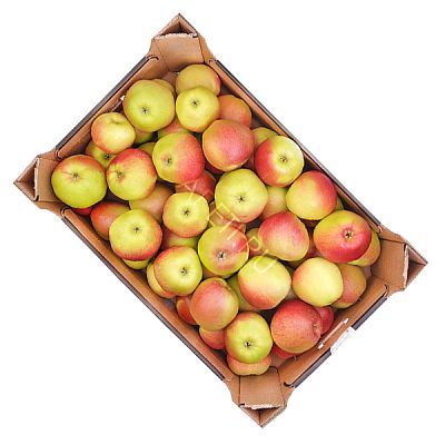 Яблоки апорт ОПТ