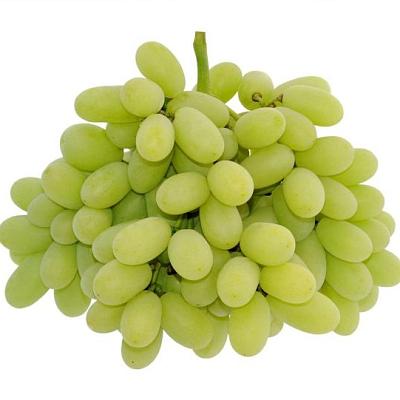  Виноград Томпсон в интернет-магазине свежих фермерских продуктов Apeti.ru