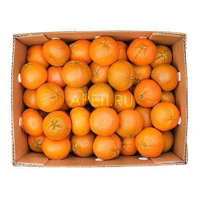  Мандарины Турция ОПТ в интернет-магазине свежих фермерских продуктов Apeti.ru