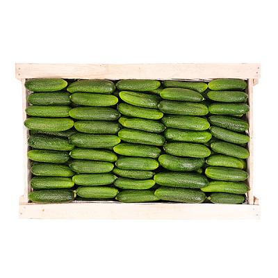  Огурцы луховицкие ОПТ в интернет-магазине свежих фермерских продуктов Apeti.ru