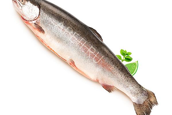  Форель крупная охлажденная тушка 4-9 кг в интернет-магазине продуктов с Преображенского рынка Apeti.ru