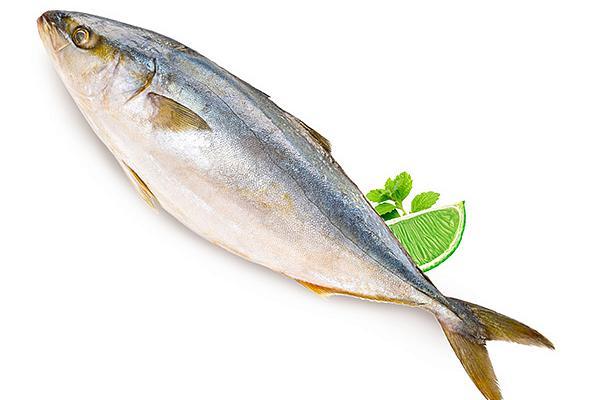  Тунец желтохвостый замороженный 0,2-0,3   1 кг в интернет-магазине продуктов с Преображенского рынка Apeti.ru