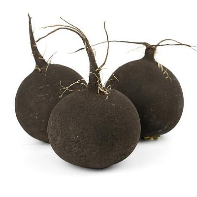 Редька черная в Apeti.ru Редька черная в интернет-магазине свежих фермерских продуктов Apeti.ru