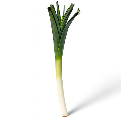 Лук порей ~ от 250 до 500гр в Apeti.ru Лук порей ~ от 250 до 500гр в интернет-магазине свежих фермерских продуктов Apeti.ru