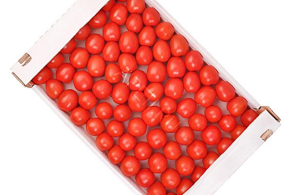  Томаты Сливка ОПТ в интернет-магазине продуктов с Преображенского рынка Apeti.ru