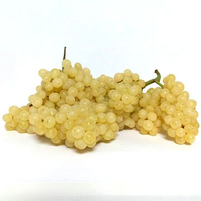 Виноград белый кишмиш Армения